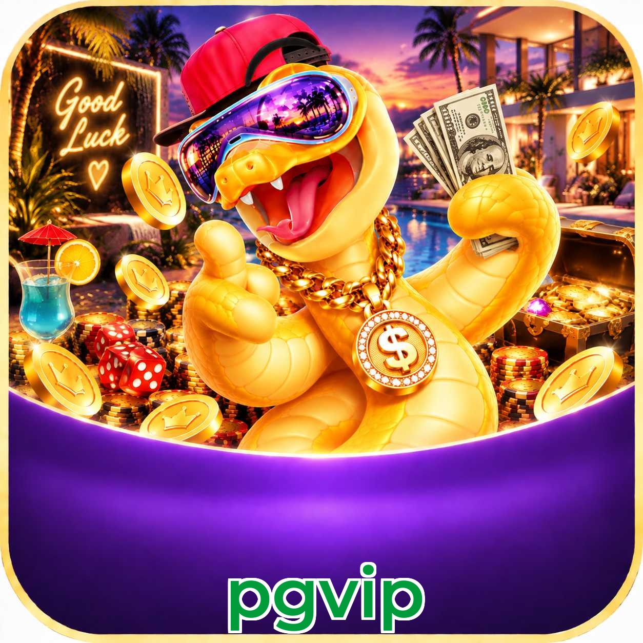 pgvip KYC Verification