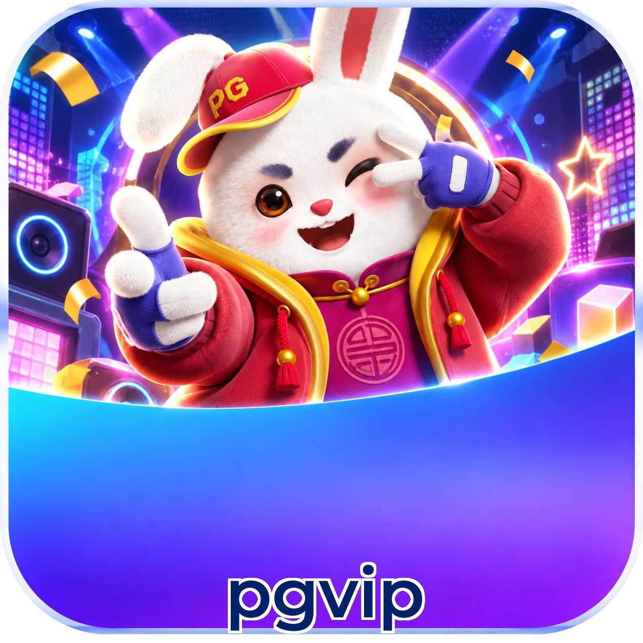 pgvip Facebook Support