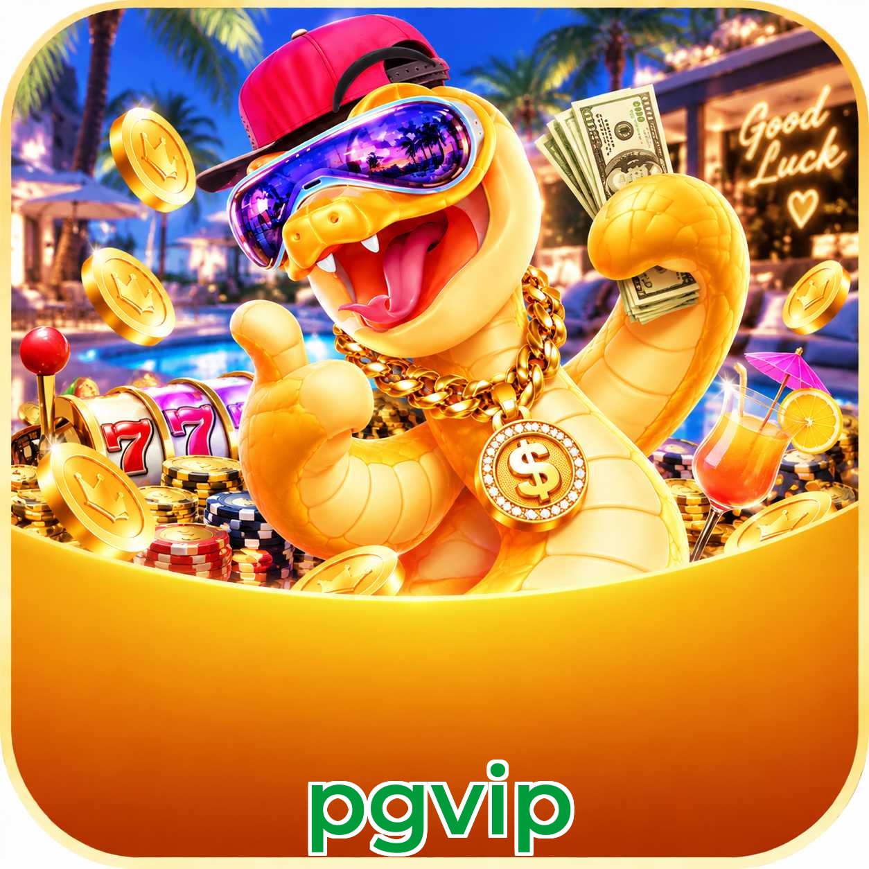 pgvip Erros de Login